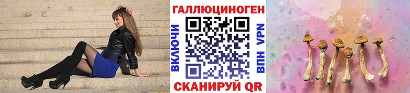 Галлюциногенные грибы Psilocybine cubensis  Купить где  Кирс 